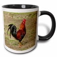 thumbnail image 1 of 3drose, Rooster, Rarotonga, Cook Islands, South Pacific, 11oz Two-tone Black Mug, 1 of 6