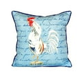 thumbnail image 1 of Rooster Script Indoor/Outdoor Throw Pillow, 1 of 3