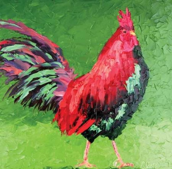 Rooster VIII Canvas Art - Leslie Seata (24 x 24)