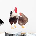 thumbnail image 1 of Rooster and Chicken White Wall Decal by Wallmonkeys Peel and Stick Graphic (24 in H x 21 in W) WM176572, 1 of 4