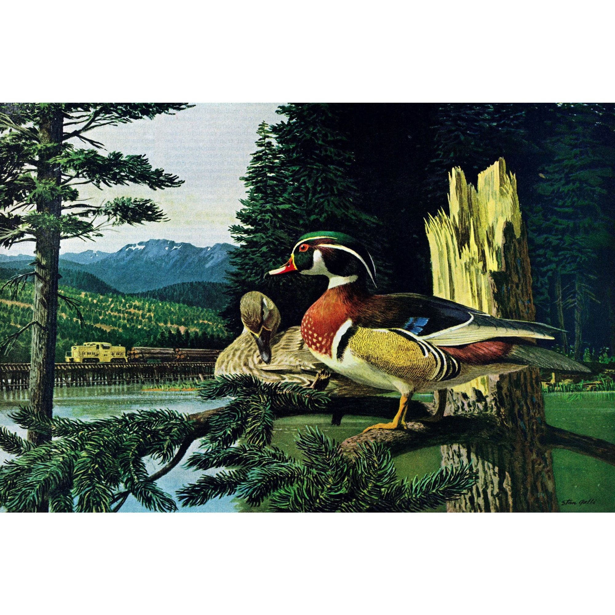 "Roosting Ducks" Painting Print on Wrapped Canvas