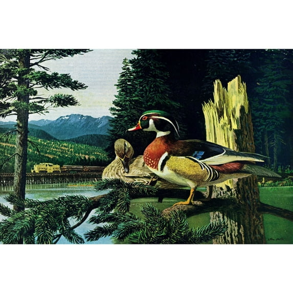 "Roosting Ducks" Painting Print on Wrapped Canvas