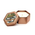 thumbnail image 1 of Root Candles Legacy Travel Tin Beeswax Candle, Japanese Cedarwood, 1 EA, 1 of 2