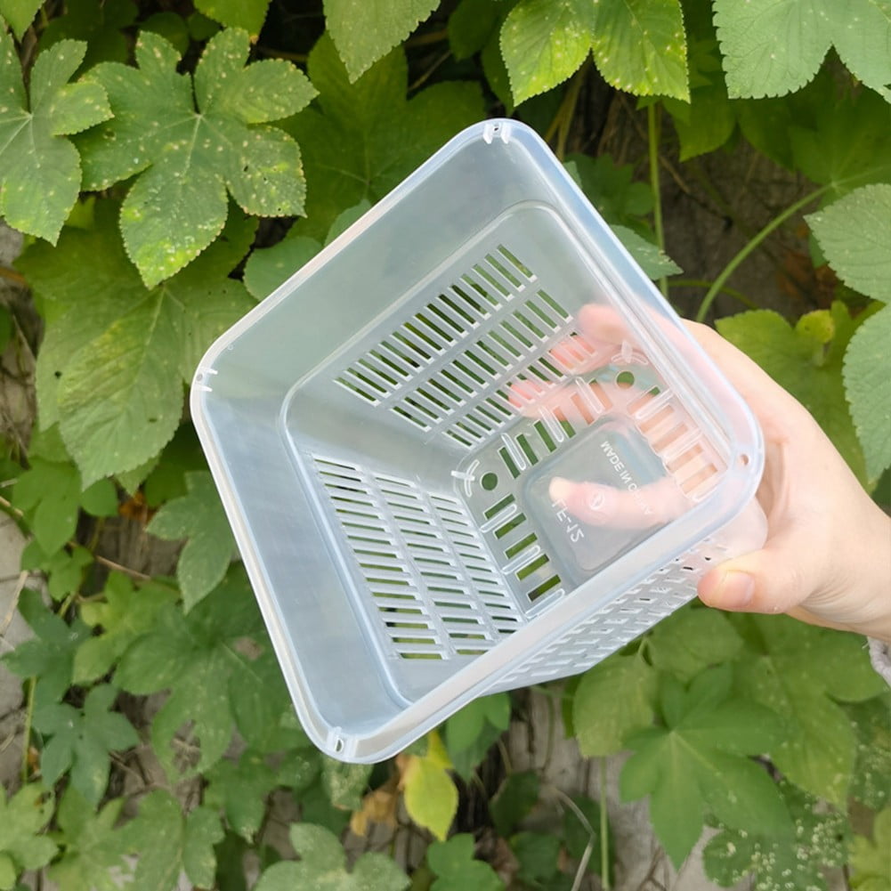 Root Observation Square Pot Designed For Optimal For Plant Growth ...