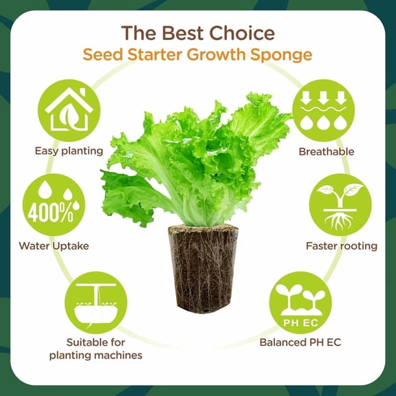 Root Riot, Eco-Friendly Biodegradable Material, Seed Starter Pod, Starter Plugs, 80-Pack, Peat Coconut Coir, Fits Standard Clone Trays, Indoor Outdoor Gardening, Brown$$Garden & Patio