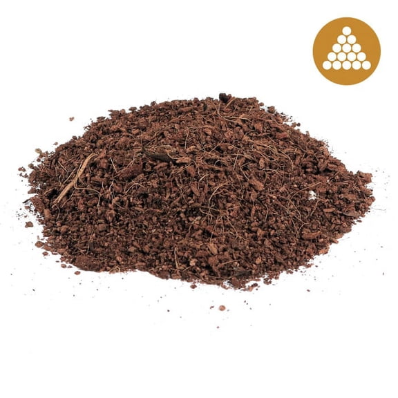 Root Royale Coco Brick