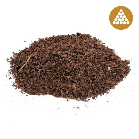 Root Royale Coco Brick