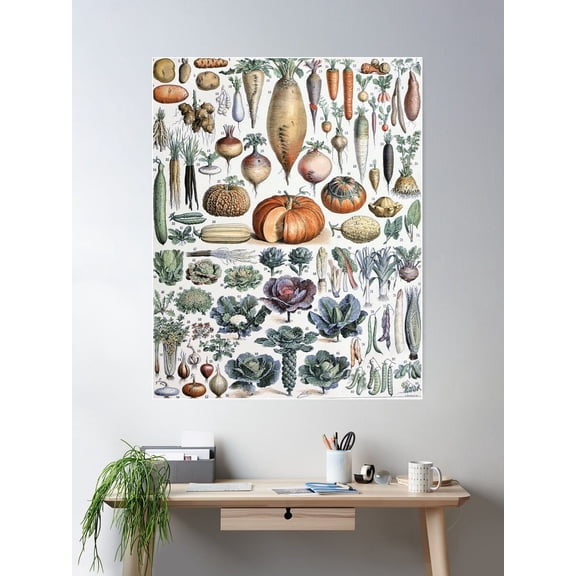 Root Vegetables Chart Poster Art Poster Wall Art, Modern Wall Decor For Living Room Bedroom, 24x36 UNFRAMED