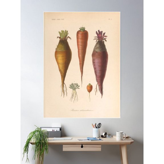 Root Vegetables Poster Wall Art, Modern Wall Decor For Living Room Bedroom, 8x12 UNFRAMED