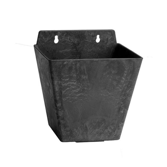 Root & Vessel Ella Wall Planter, Black, 5.5"