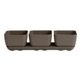 thumbnail image 1 of Root & Vessel Majestic Herb & Succulent Trio Planter, Taupe, 1 of 4