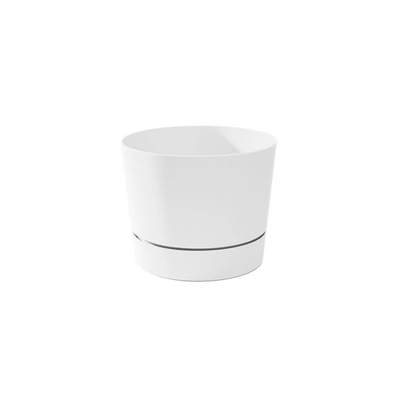 Root & Vessel Majestic Low Profile Cylinder Pot, White, 6.5"
