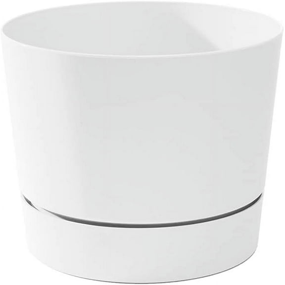 Root & Vessel Majestic Mid-Century Modern Low Profile Cylinder Pot, Matte White, 10.5"