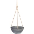 thumbnail image 1 of Root & Vessel Napa Hanging Bowl Planter, Gray, 10", 1 of 5