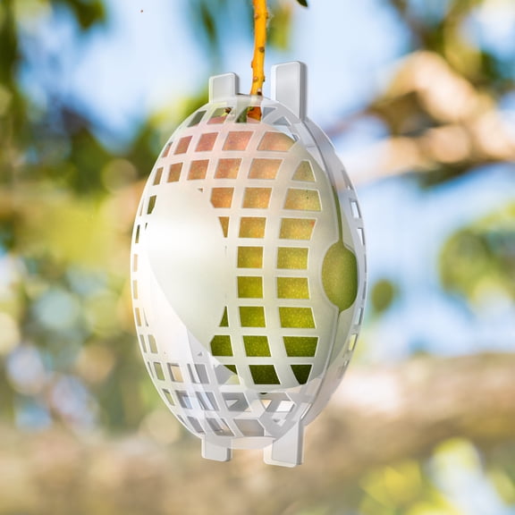 Rooted Promise 12 Pack Large Fruit Protection Cages 5 x 8 inch, Perfect for protecting fruit trees - Made in the USA