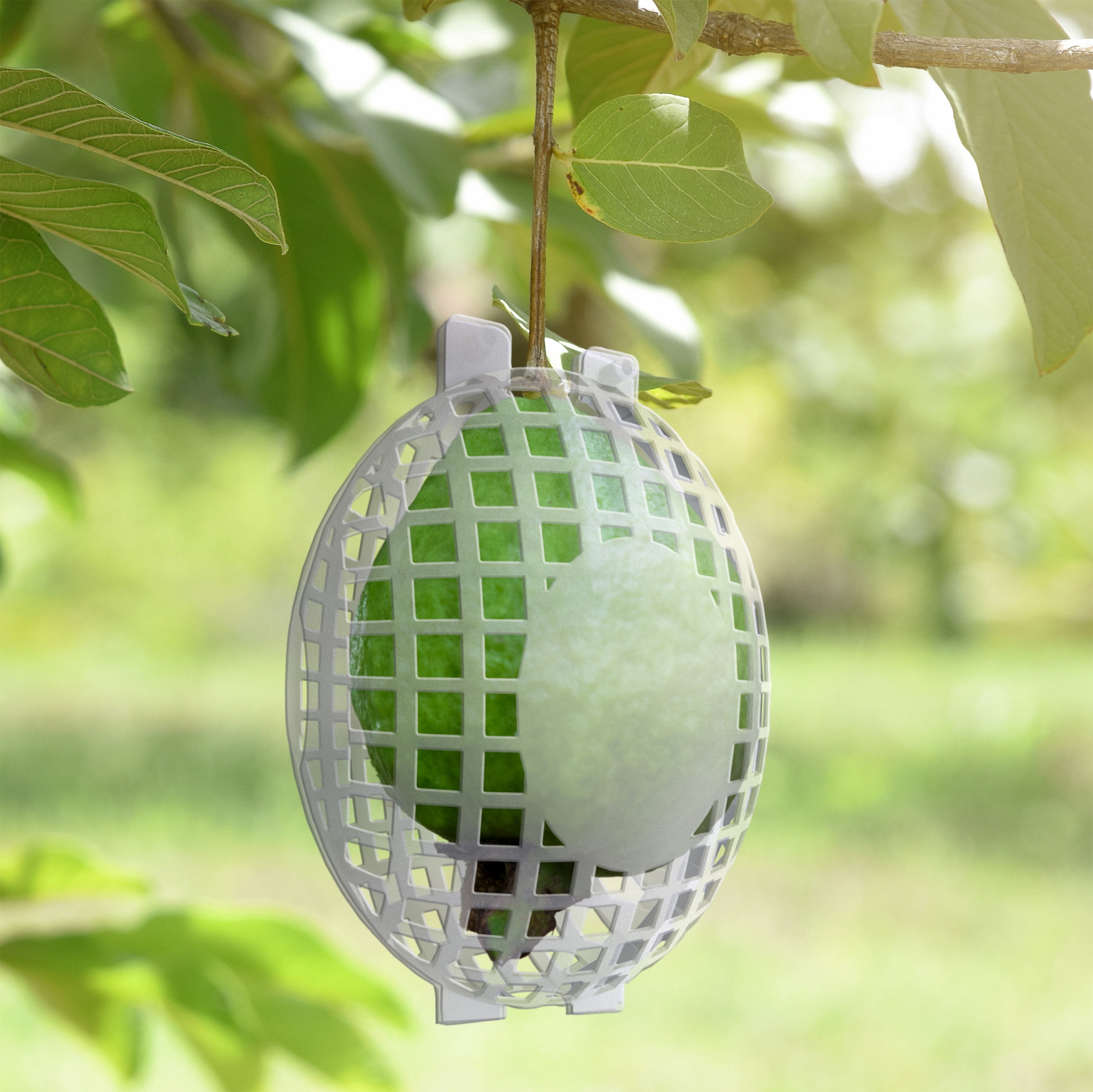 Rooted Promise 24 Pack Small Fruit Protection Cages 4 x 5 inch, Perfect for protecting fruit trees - Made in the USA