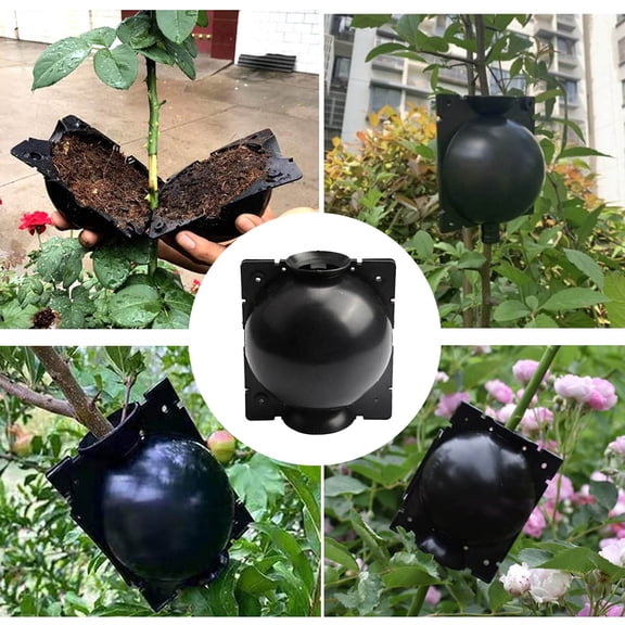 GleamNest Rooting Tool for Propagation Grafting and Air Layering Device for Roses Trees Fruit Bushes Magnolia Reusable Rooting Apparatus