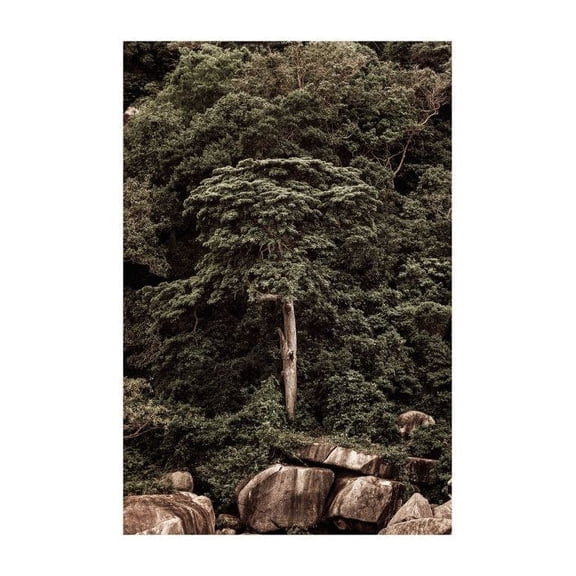 Roots Of The Earth Print Wall Art, Modern Wall Decor For Living Room Bedroom, 8x12 UNFRAMED