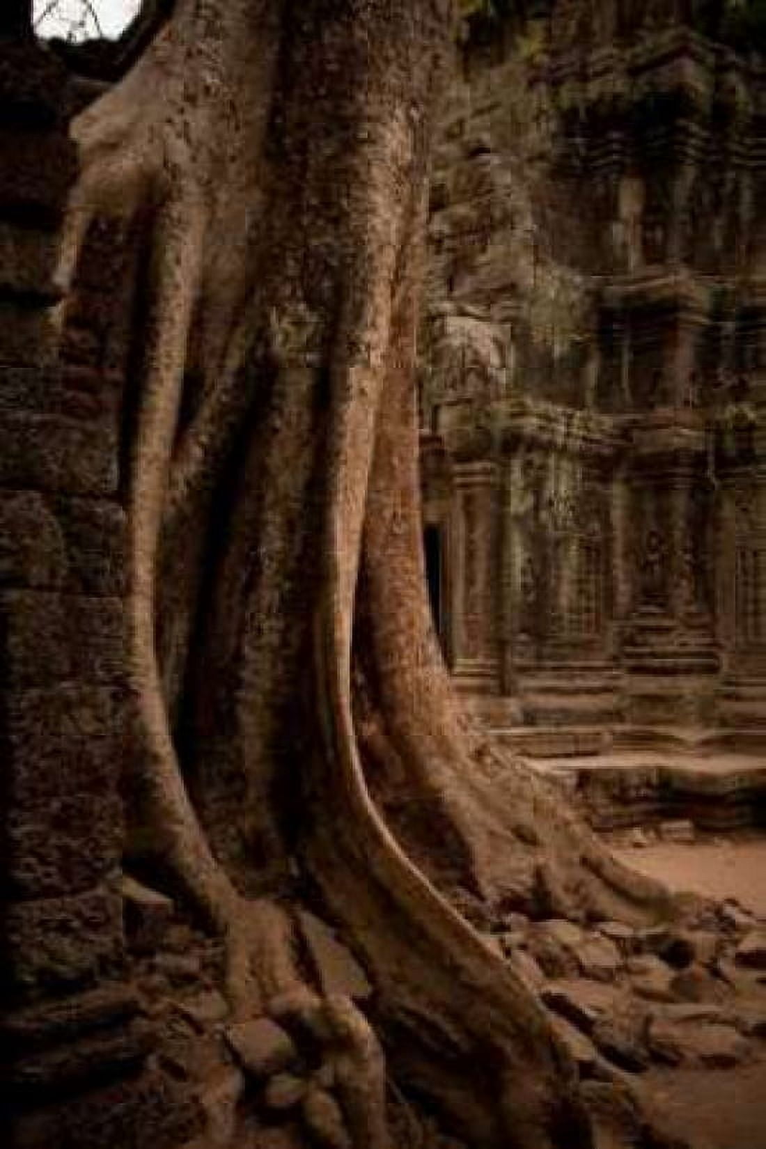 Roots and Ruins I Canvas Art - Erin Berzel (24 x 36)