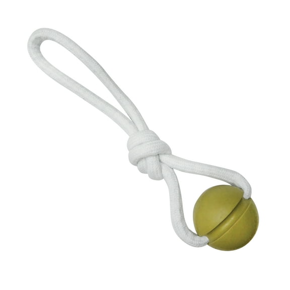 Rope & Ball Dog Toy
