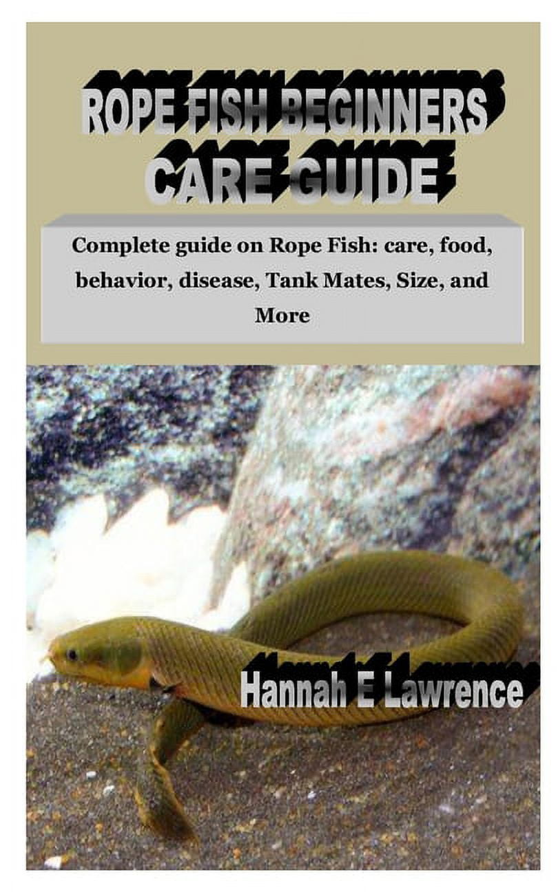 Rope Fish Beginners Care Guide Complete guide on Rope Fish care