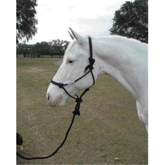 Rope Halter With Lead Adult Horse- Black Average - RHL AVBK