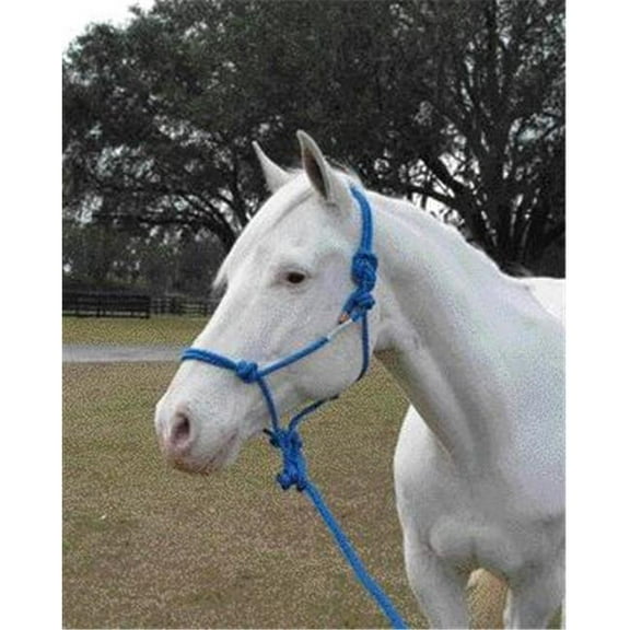 Rope Halter With Lead Adult Horse- Blue Average - RHL AVBL