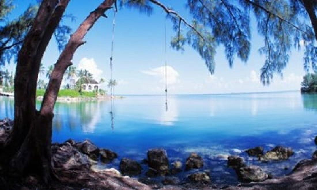 Rope Swing Over Water Florida Keys Canvas Art - Panoramic Images (21 x 12)