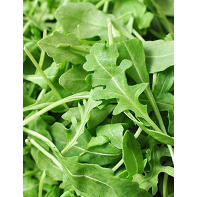 Roquette Arugula Seeds, ket, Colewort, Slow Bolt, NON-GMO, FREE ...