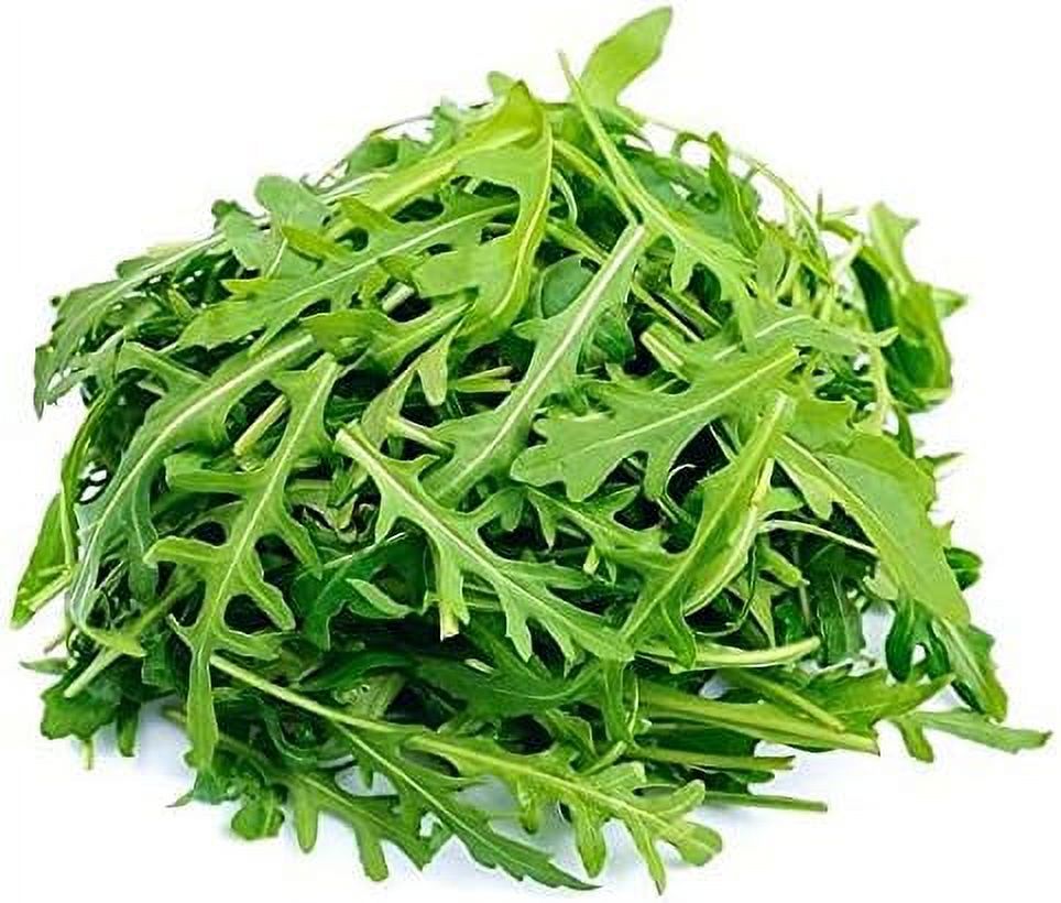Roquette Lettuce Arugula Seeds 100 Count Seed Pack an Incredibly FastGrowing Cool Season