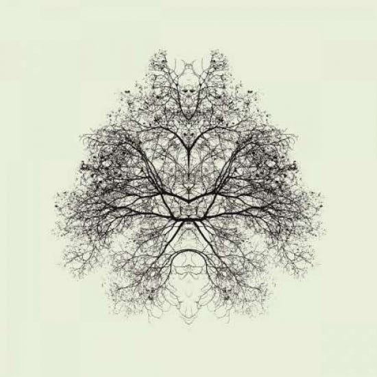 Rorschach Test Canvas Art - Nadav Jonas (24 x 24)