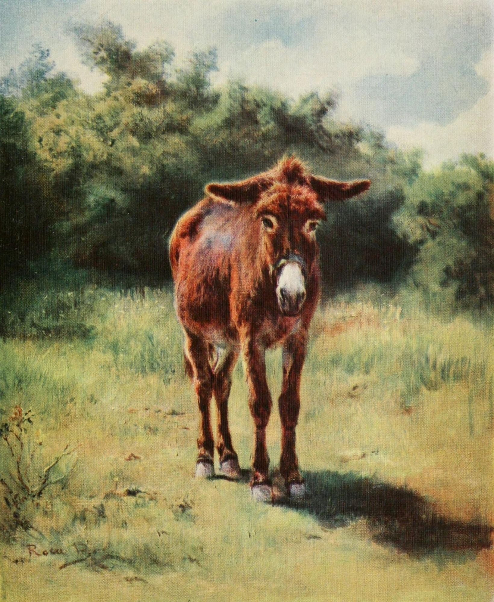 Rosa Bonheur 1913 The Ass Canvas Art - Rosa Bonheur (18 x 24)