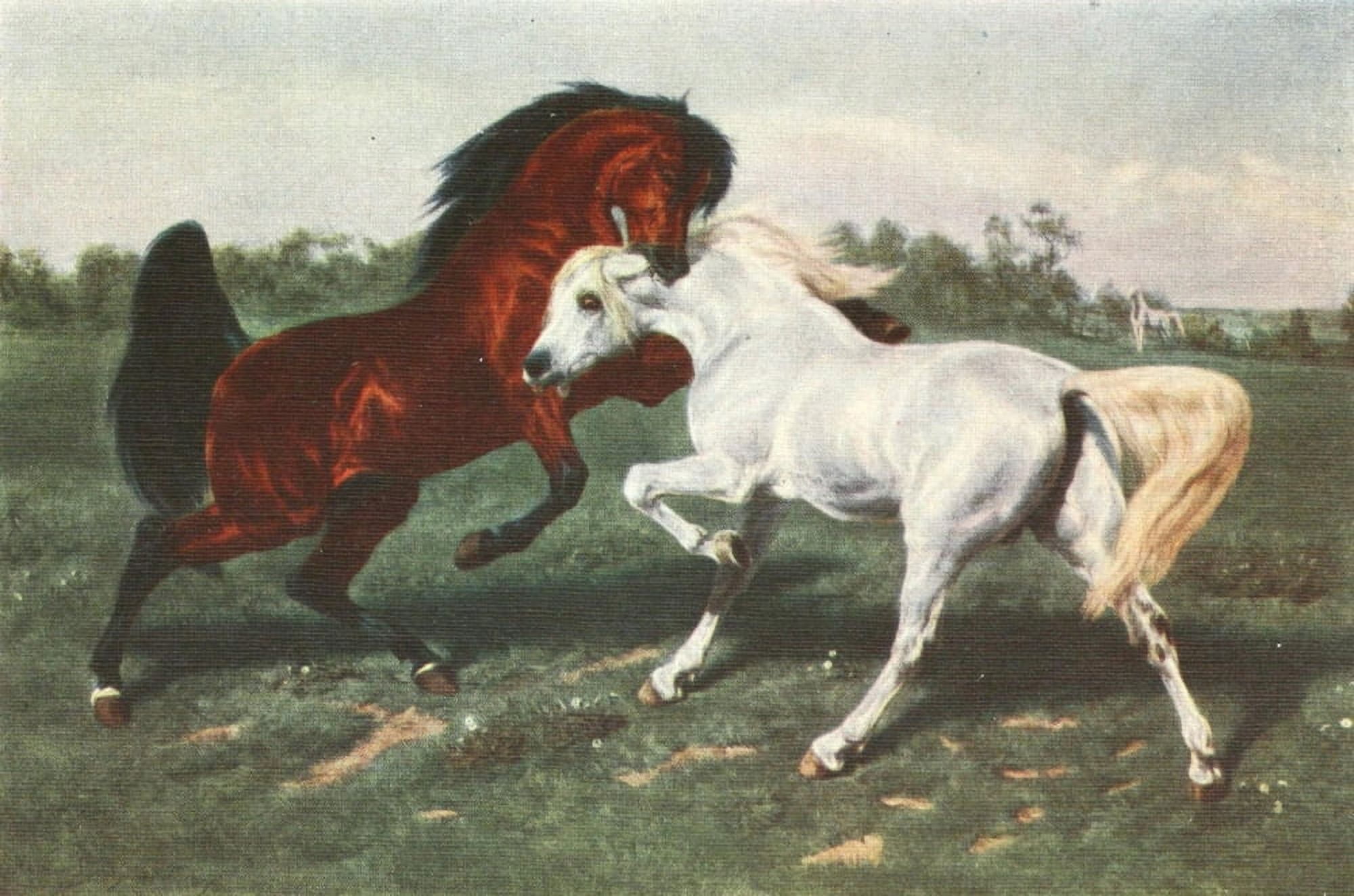 Rosa Bonheur 1913 The Duel Canvas Art - Rosa Bonheur (24 x 36)