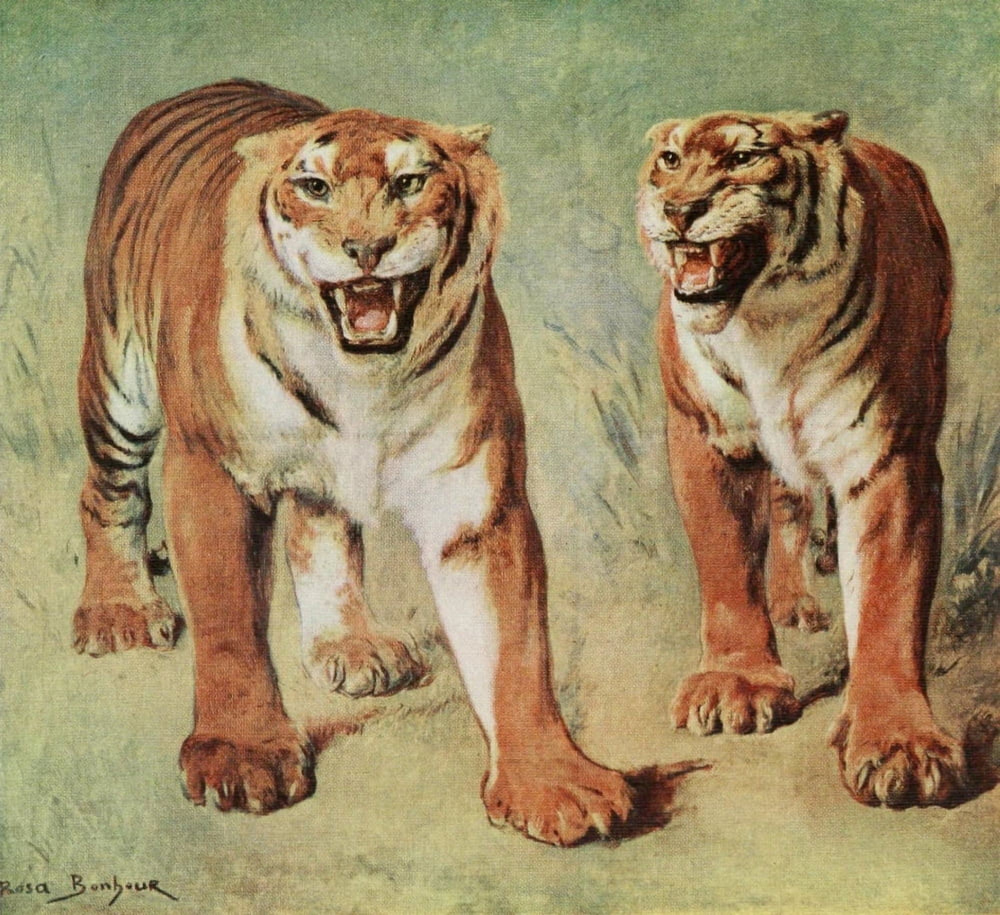 Rosa Bonheur 1913 Tigers Canvas Art - Rosa Bonheur (18 x 24)