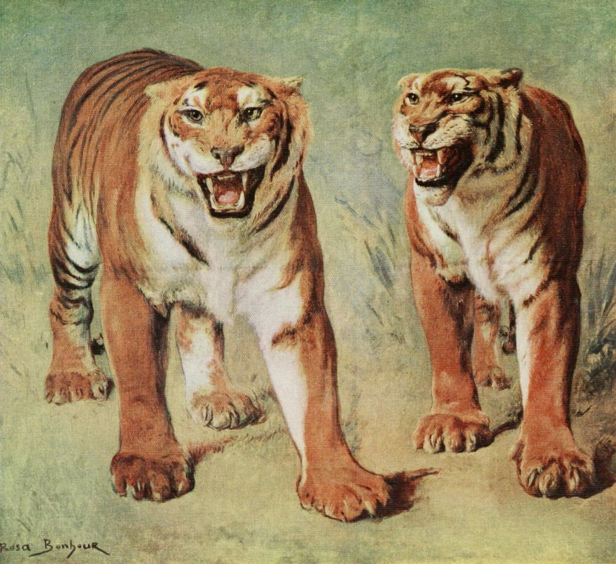 Rosa Bonheur 1913 Tigers Canvas Art - Rosa Bonheur (24 x 36)