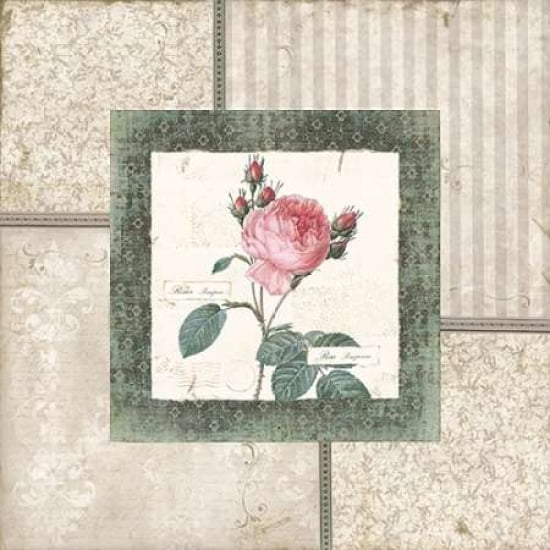 Rosa I Canvas Art - Carol Robinson (24 x 24)