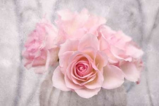 Rose Bouquet Canvas Art - Cora Niele (24 x 36)