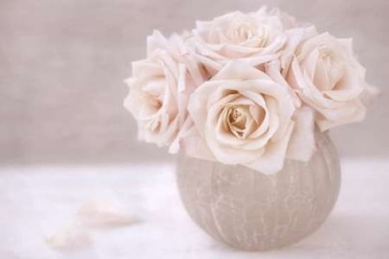 Rose Bouquet Canvas Art - Cora Niele (24 x 36)