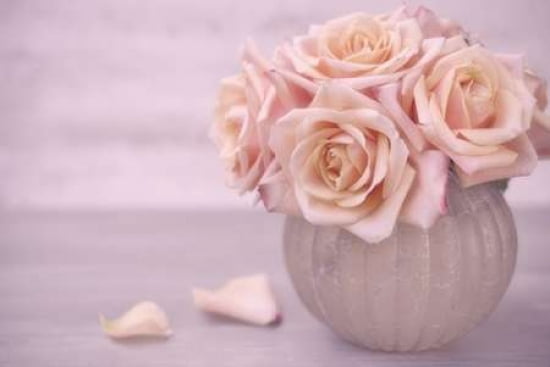 Rose Bouquet II Canvas Art - Cora Niele (24 x 36)