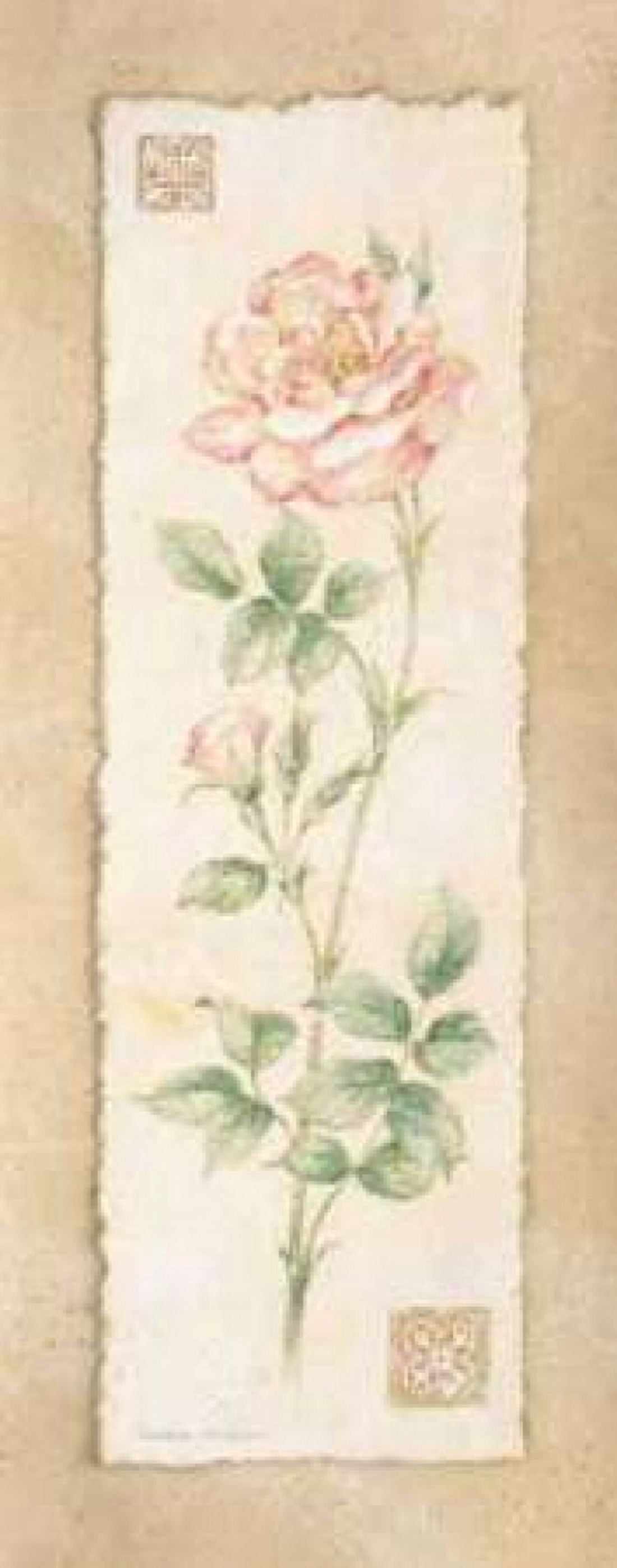 Rose Canvas Art - Pamela Gladding (10 x 20)