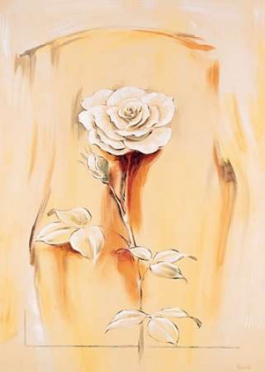 Rose Canvas Art - Renee (20 x 28)