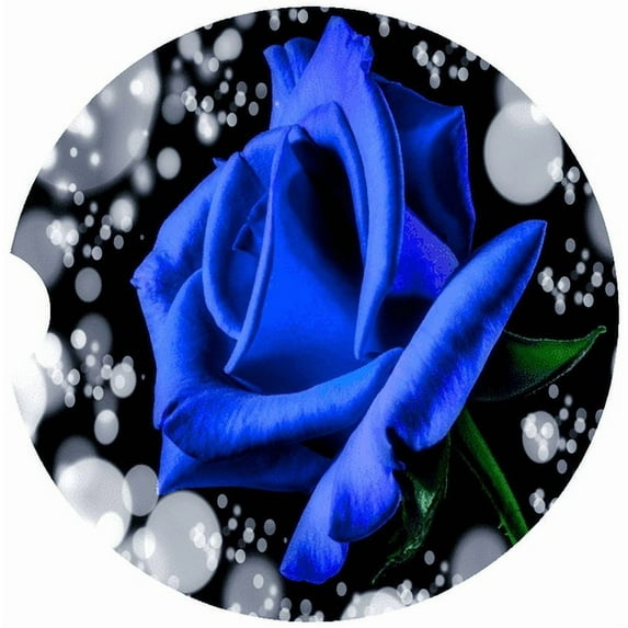 Rose Car Coaster, Absorbent Stoneware Car Cup Holder Coaster, Set of 2