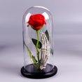 thumbnail image 1 of Rose Flower Gifts for Women, Forever Rose in Plastic Dome Romantic Gifts for Her Christmas Anniversary Valentine's Day Mother's Day Birthday - Red, 1 of 7