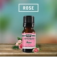 thumbnail image 1 of Rose Fragrance Oil 10 mL / .33 Oz Aromatic Premium Grade Scented Perfume Oil by Sponix, 1 of 9