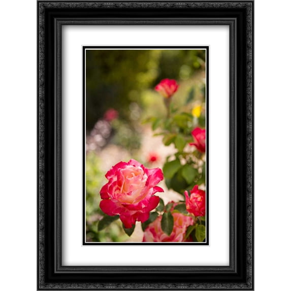 Rose Garden I 2x Matted 18x24 Black Ornate Framed Art Print by Millet, Karyn