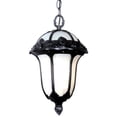 thumbnail image 1 of Special Lite Products F-3714-BLK-SG Rose Garden Large Pendent Light with Clear Seedy Glass, Black, 1 of 1