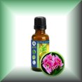 thumbnail image 1 of Rose Geranium (Pelargonium Capitatum) Oil, 1 of 1