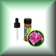thumbnail image 1 of Rose Geranium (Pelargonium Roseum) Oil, 1 of 1