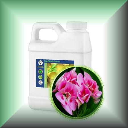 Rose Geranium (Pelargonium Roseum) Oil