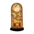 thumbnail image 1 of Rose Gifts for Women, Galaxy Glass Rose Light Up Roses In Glass Dome Colorful Crystal Flower with Couple Bear Decoration Holiday Gifts (Multicolor), 1 of 6